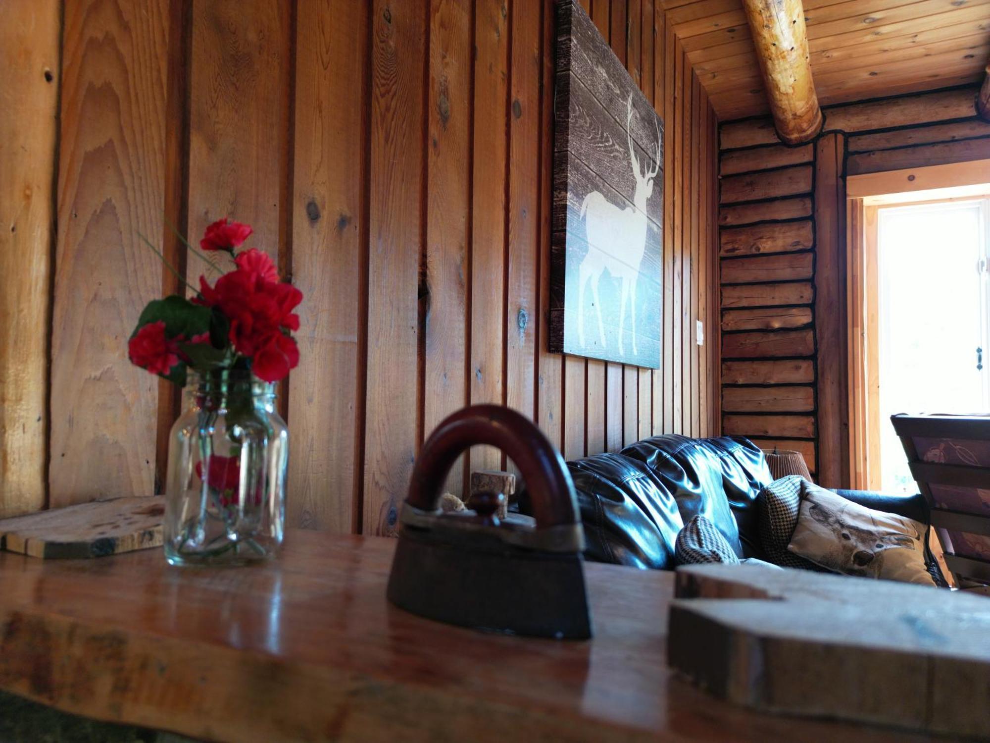 Cozy Log Cottage La Minerve 외부 사진